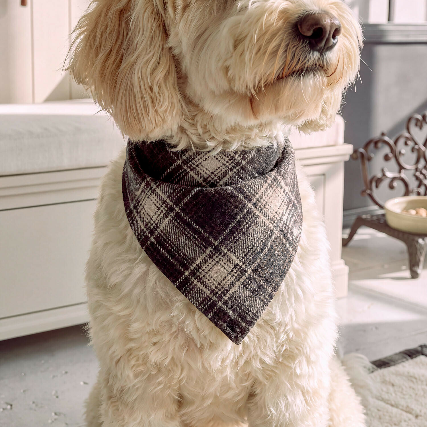 Foulard pour chien Darello Foulard pour chien Darello