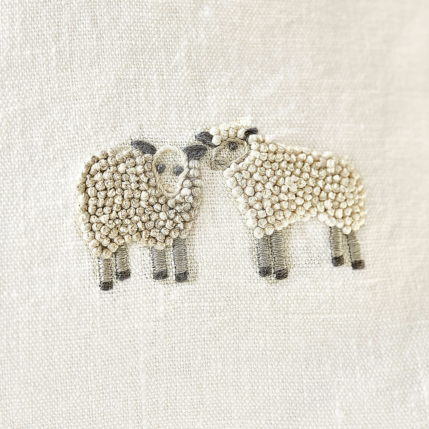 Housse de coussin Erianna