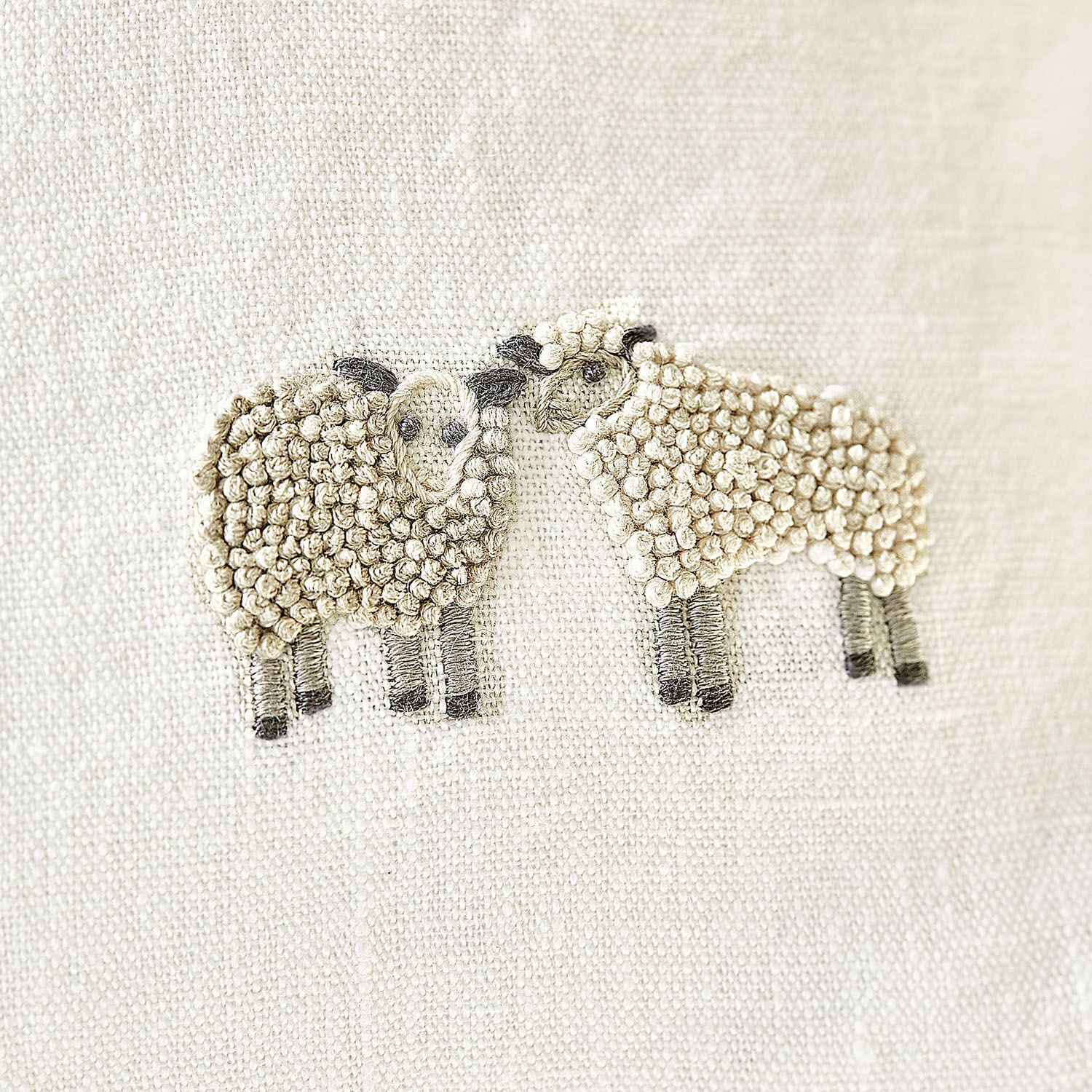 Housse de coussin Erianna