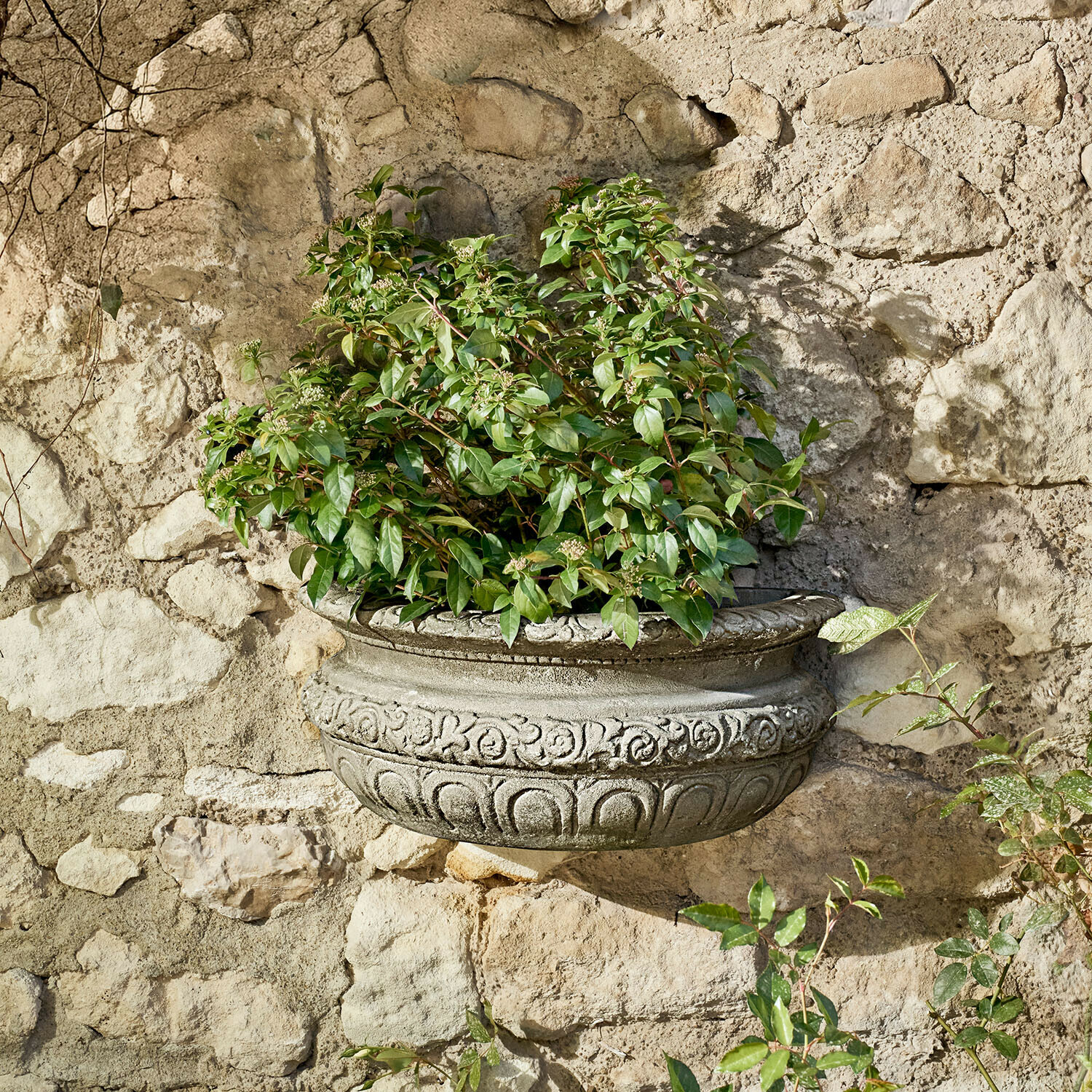 Jardinière murale en béton ornemental avec feuillage vert devant un mur en pierre rustique