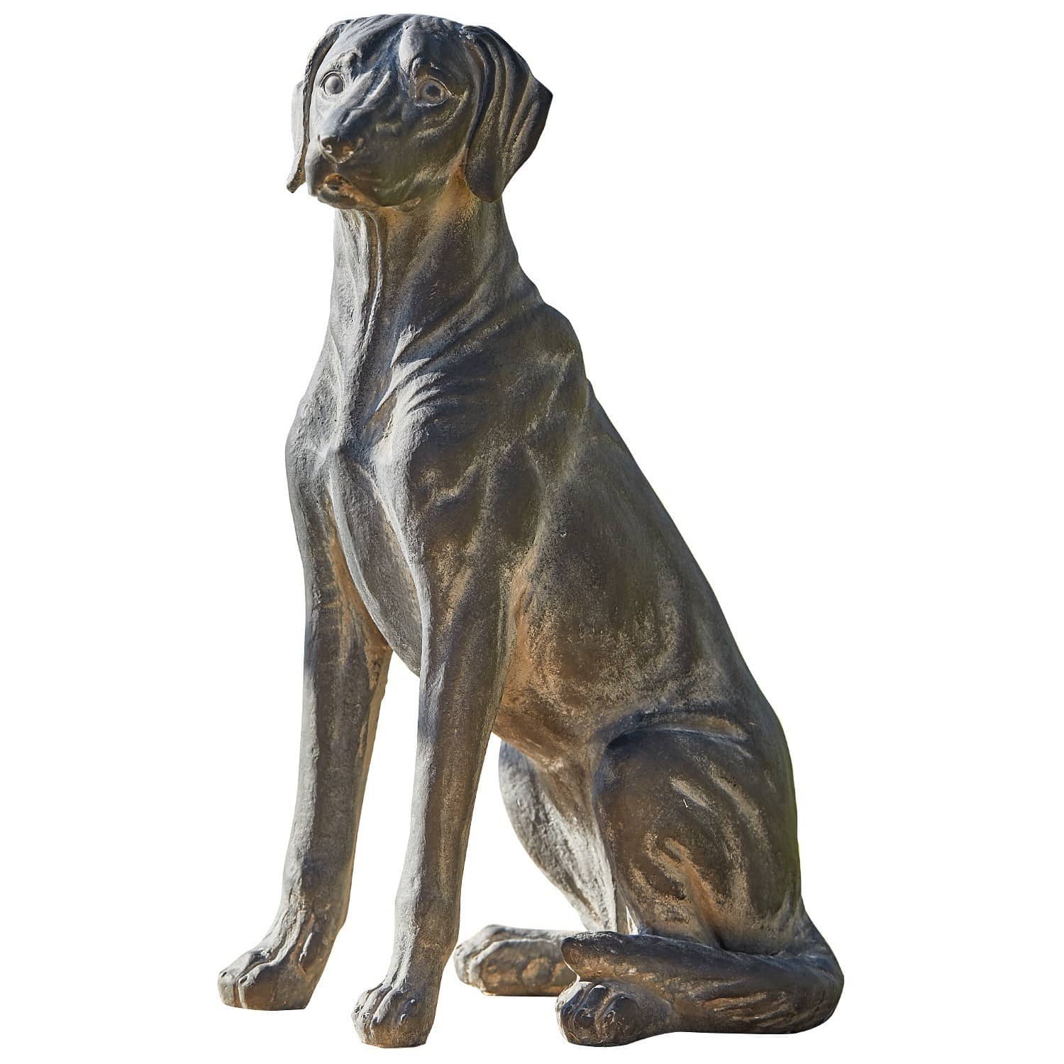 Chien Healy