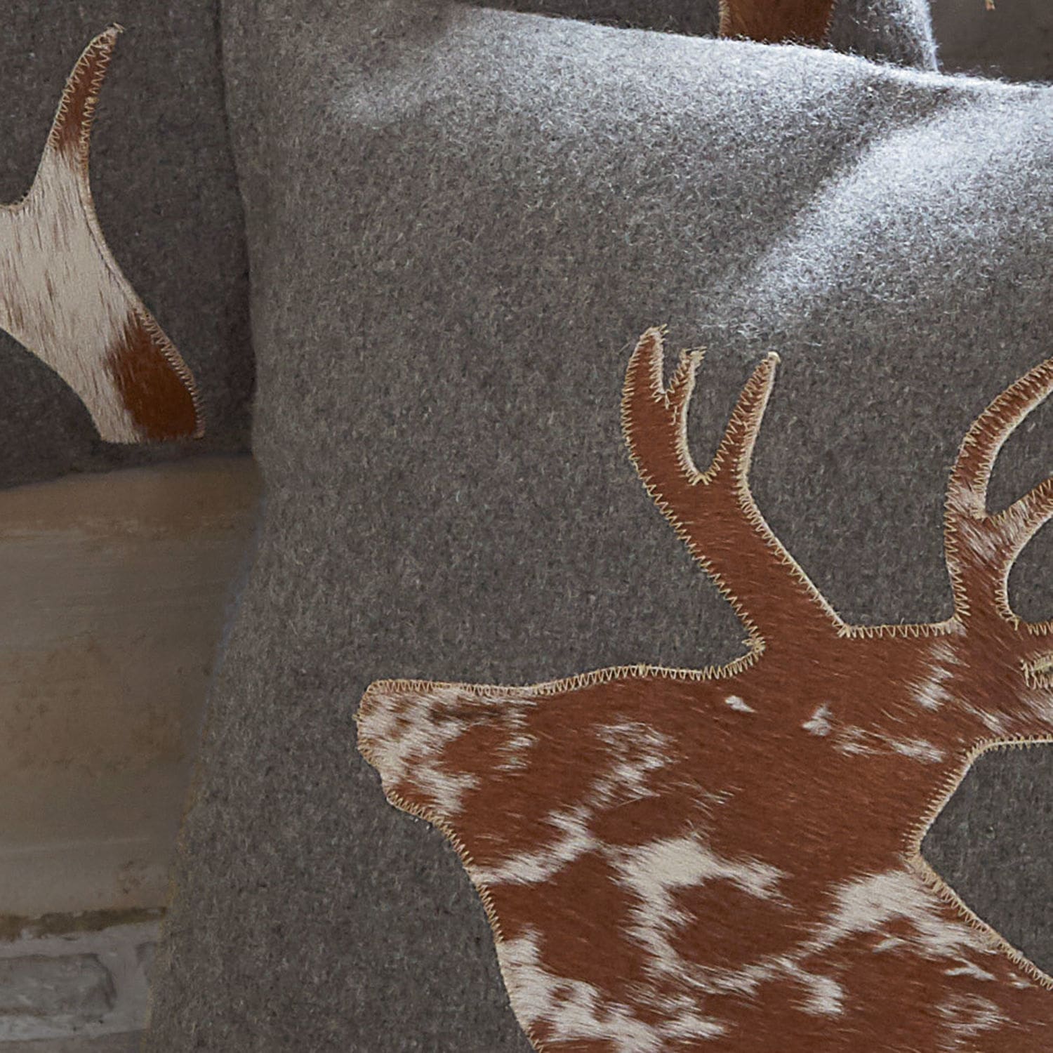 Lot de 2 coussins Sazos