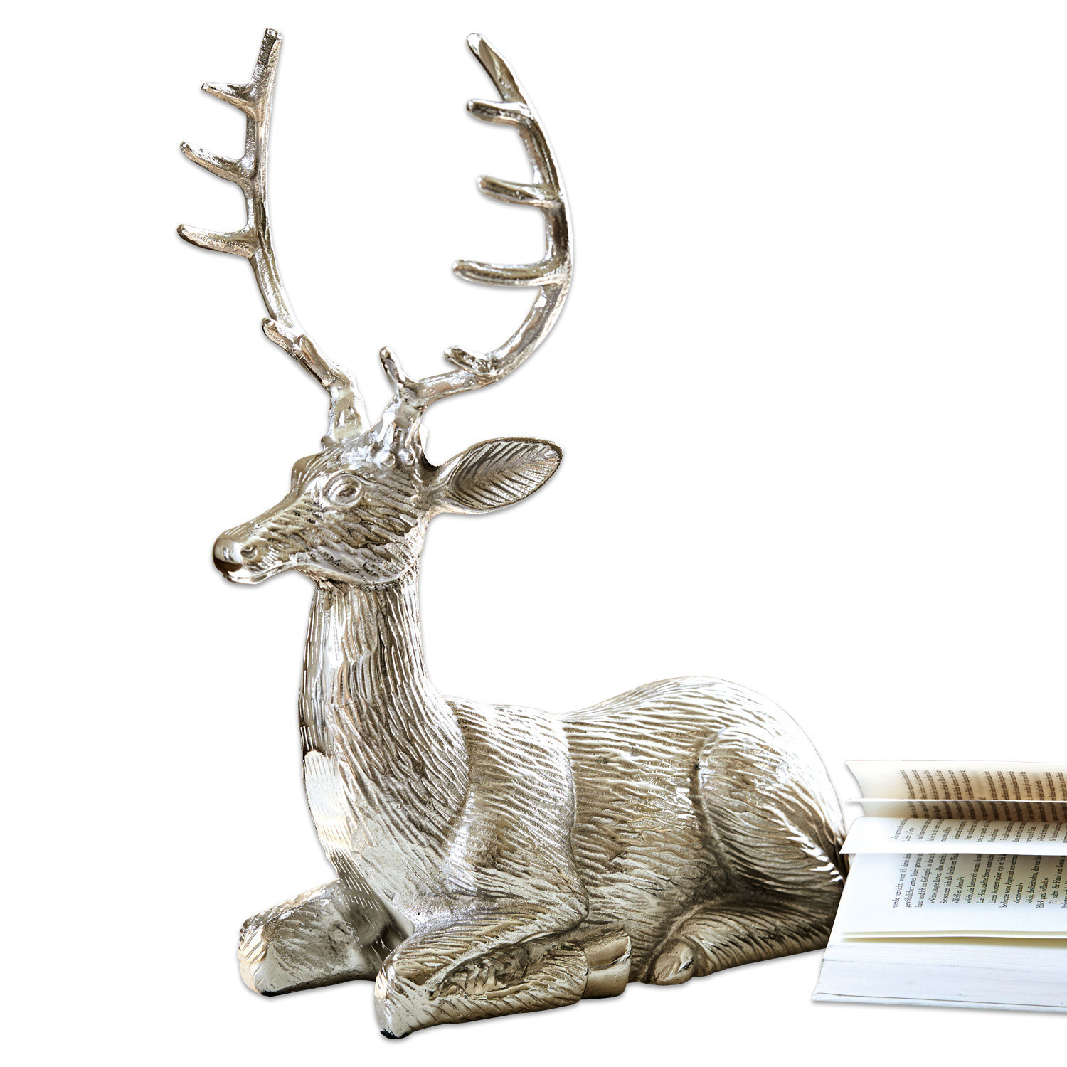 Cerf Sechelt