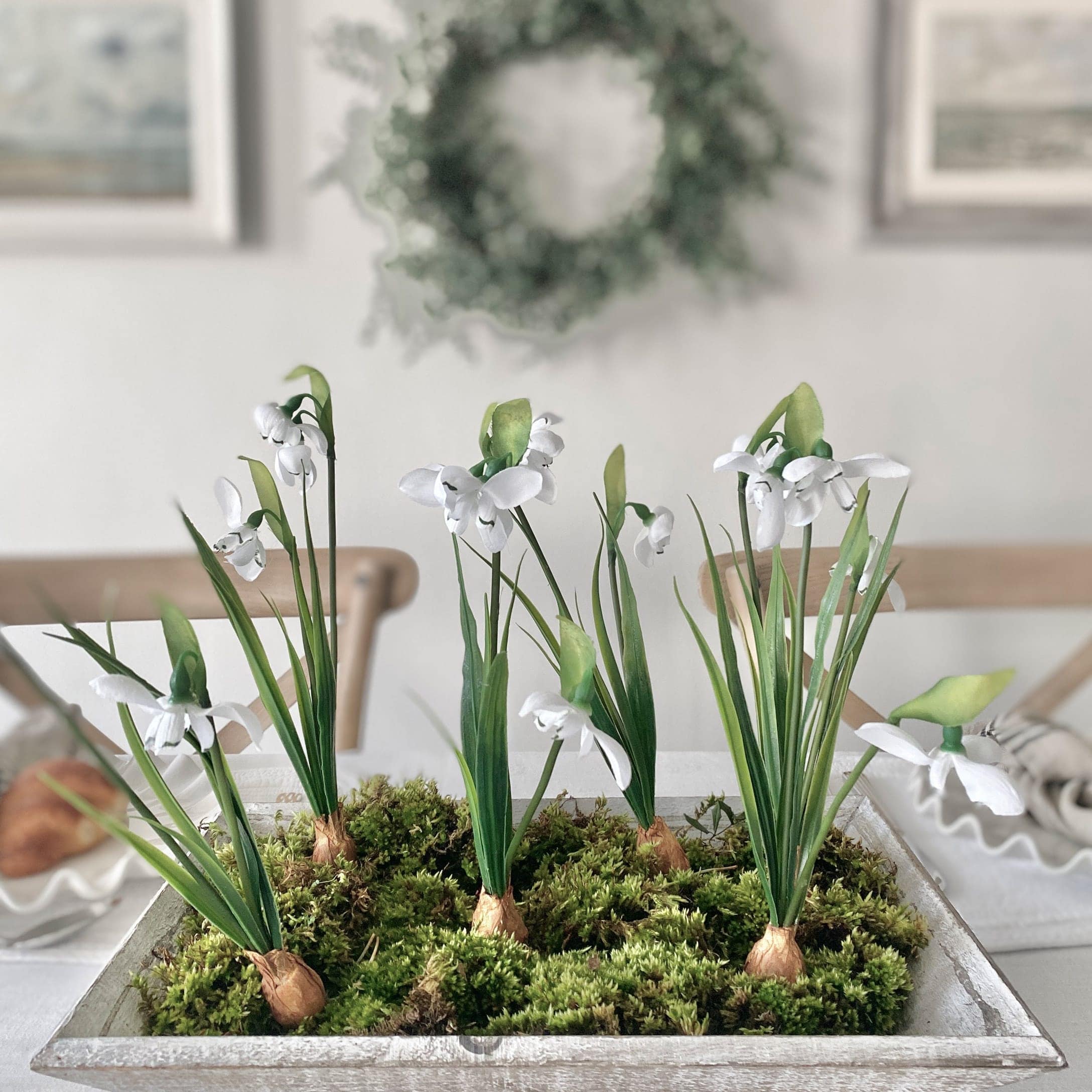 Fleurs blanches de perce-neige avec feuilles vertes sur mousse dans un pot en bois décoratif