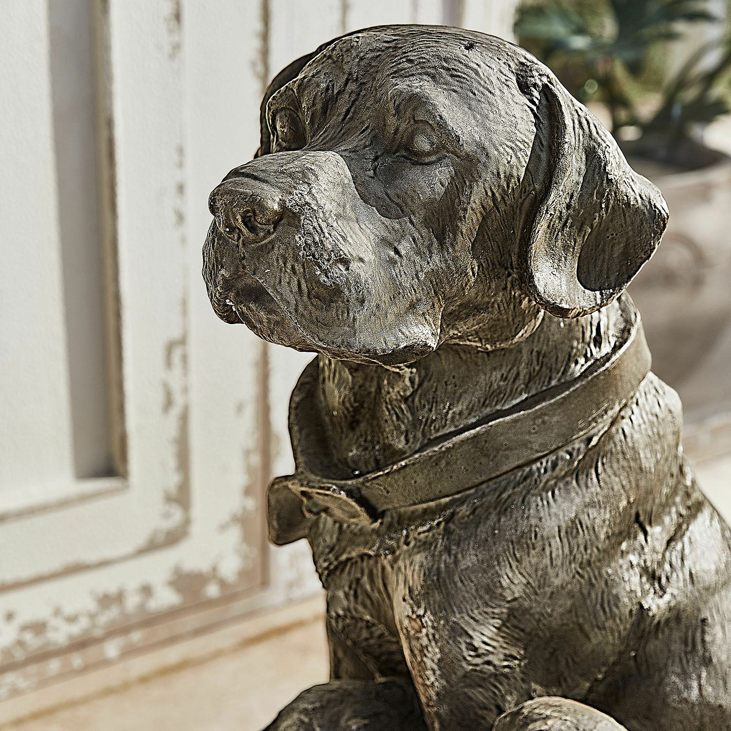 Chien décoratif Samiran