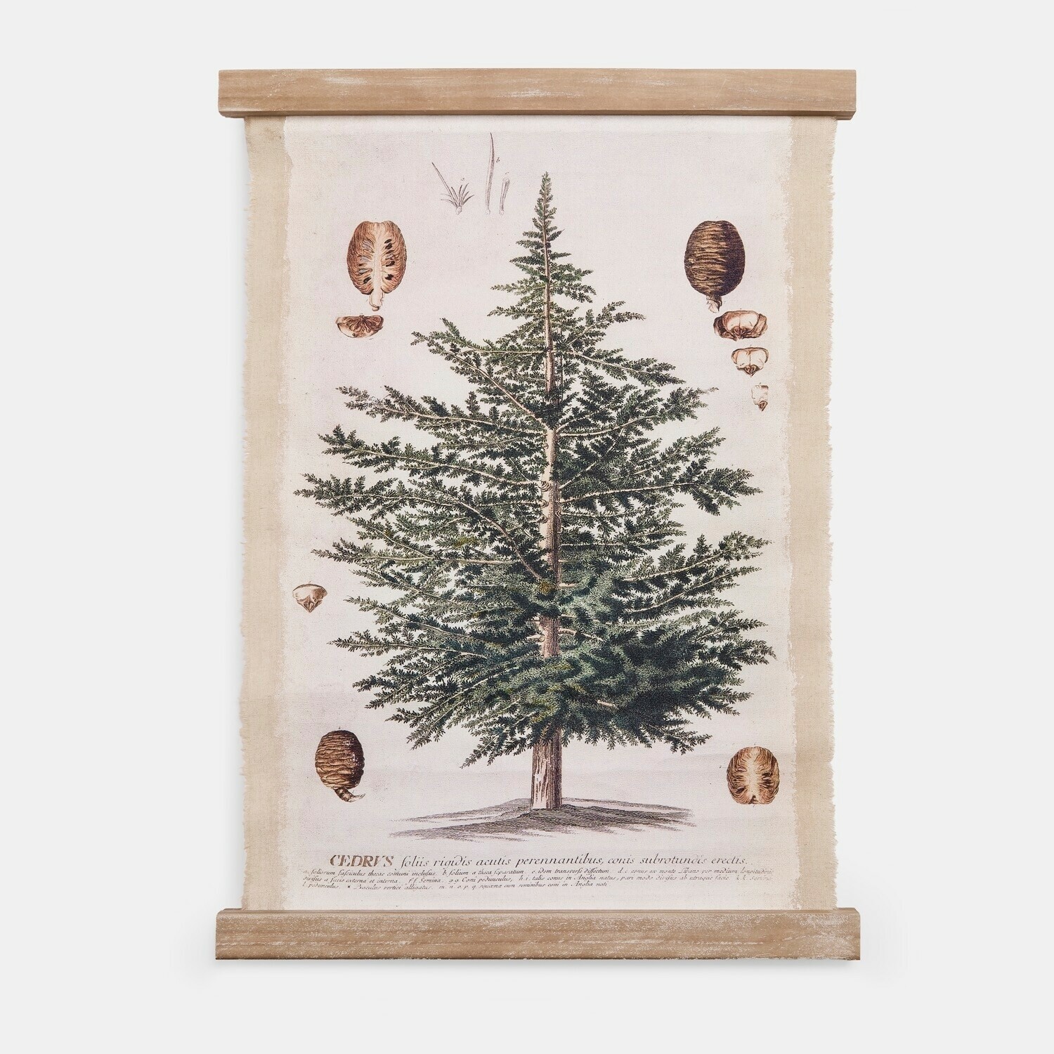 Tableau Ulmevaine