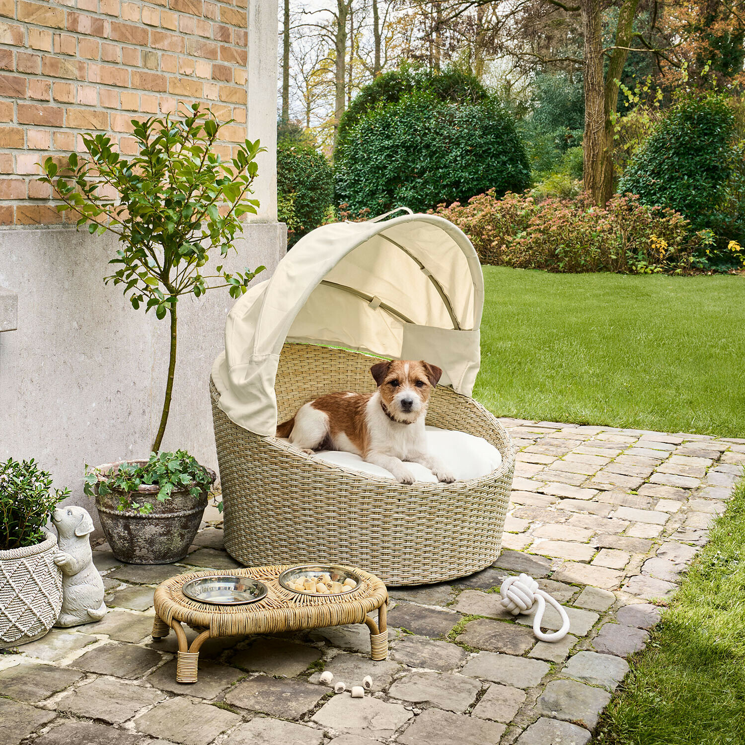 Panier d’intérieur et d’extérieur pour animaux Brinelza Niche pour chien en rotin beige avec auvent, petit chien brun et blanc allongé dans le jardin
