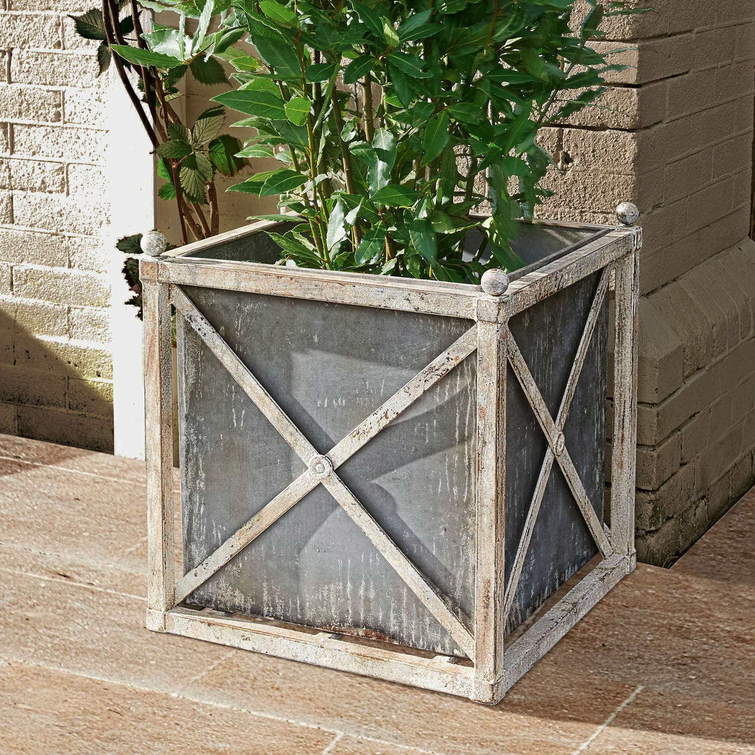 Cache-pot Taunton