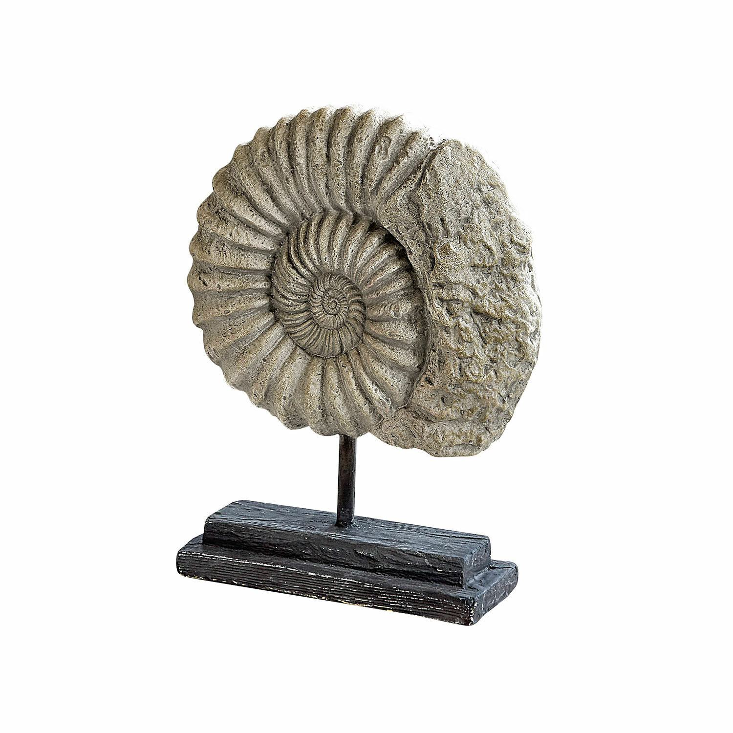 Objet décoratif Dewey Figurine décorative grise en forme d'ammonite sur socle noir en bois et métal