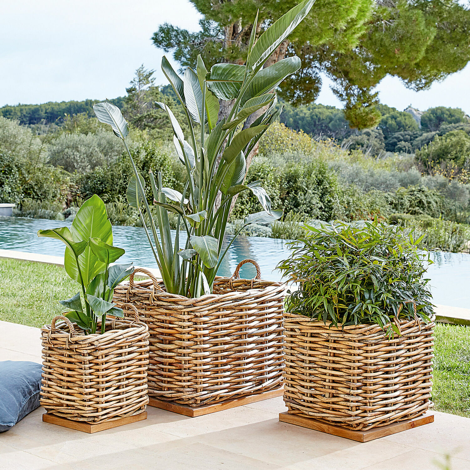 Lot de 3 paniers Chalet Trois jardinières en osier sur socles en bois avec plantes vertes sur terrasse près de la piscine