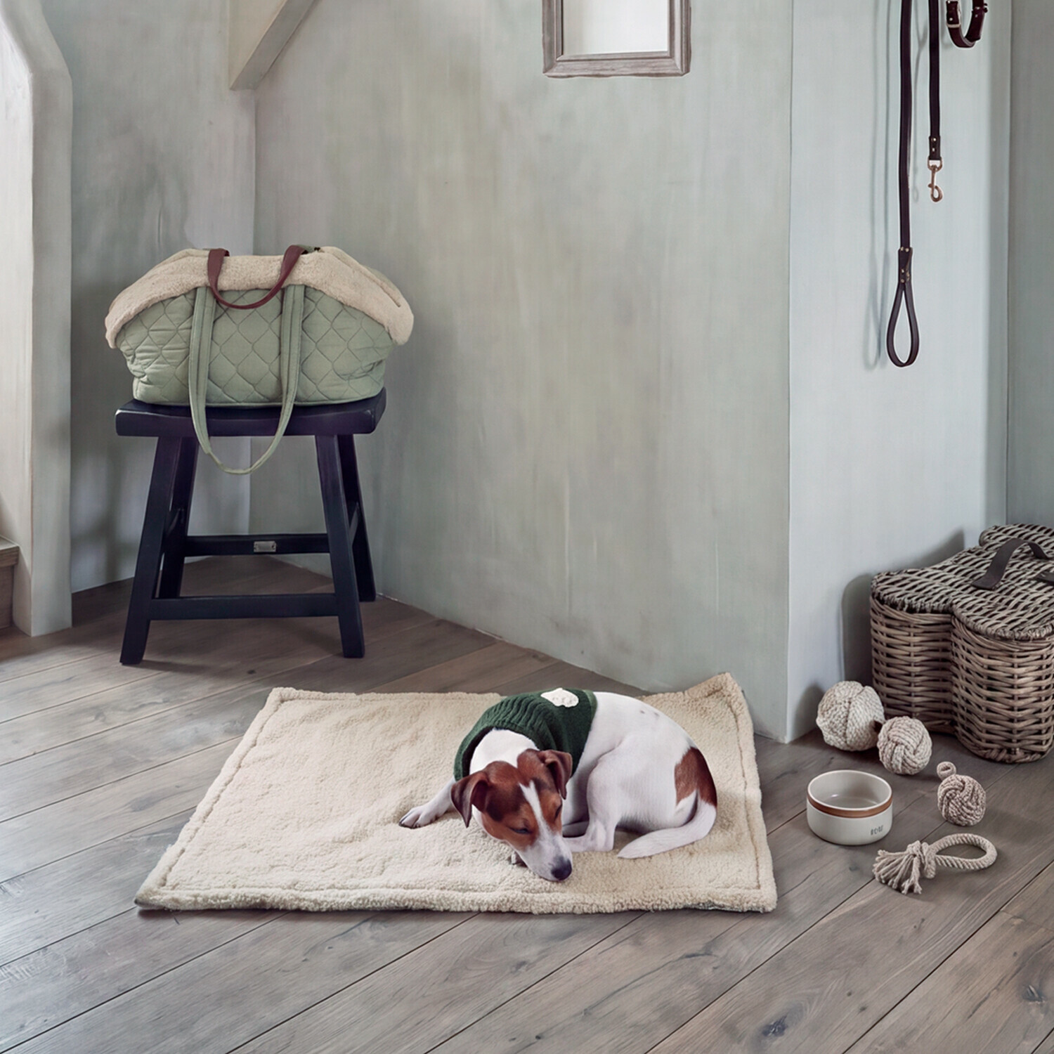 Foulard pour chien Jovini