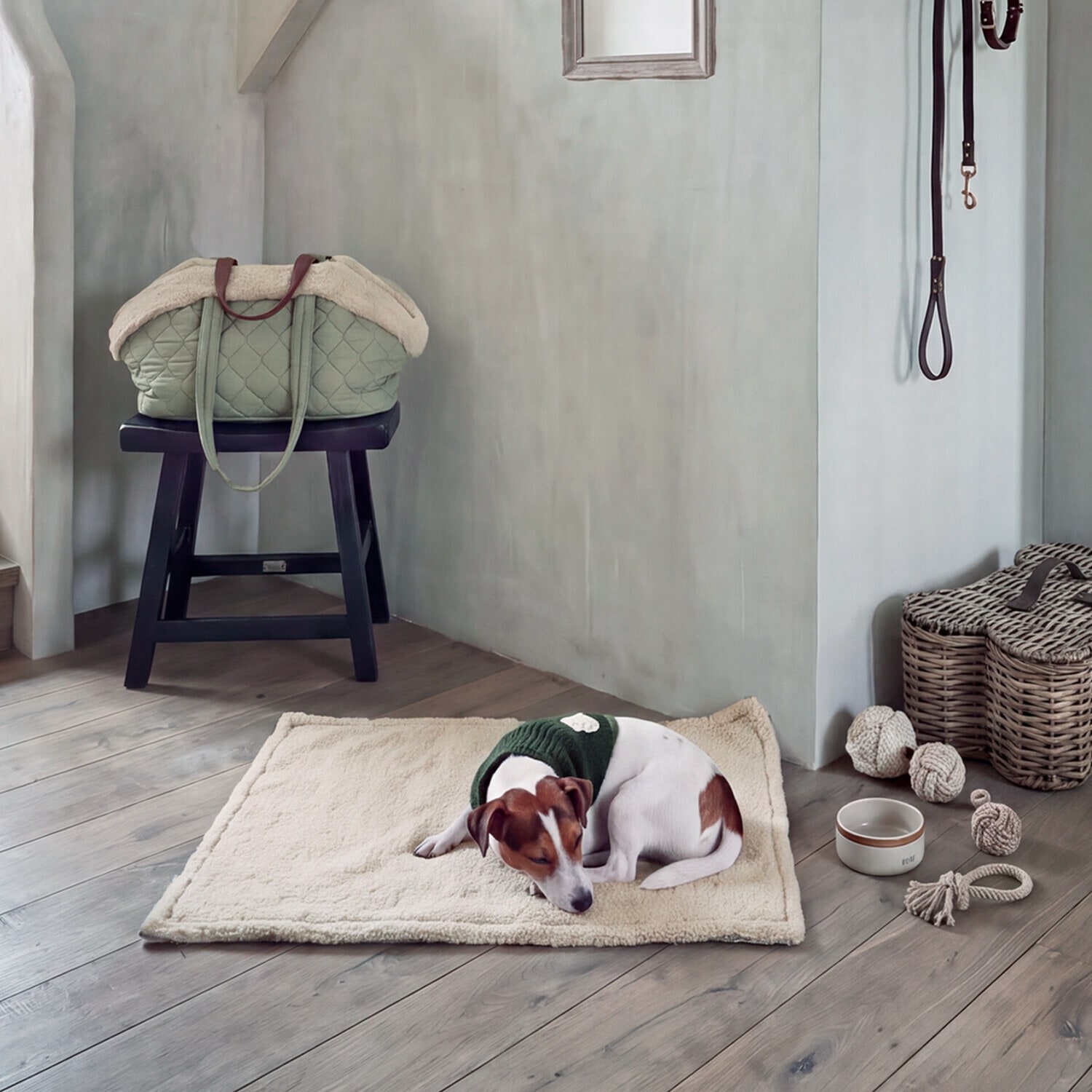 Foulard pour chien Jovini