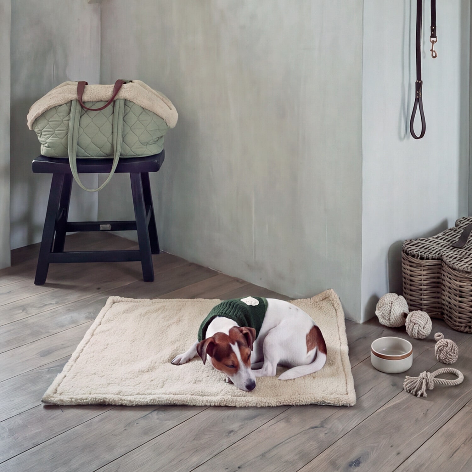 Foulard pour chien Jovini