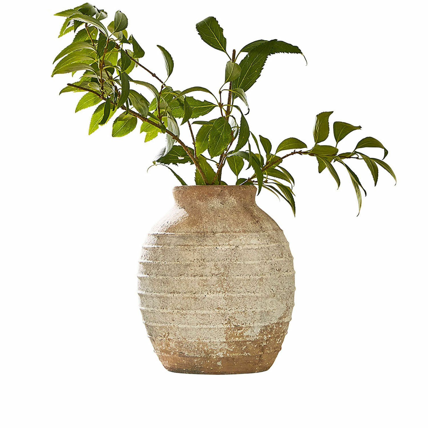 Vase Sibinna Vase en céramique beige rustique avec feuilles vertes, décoration intérieure naturelle