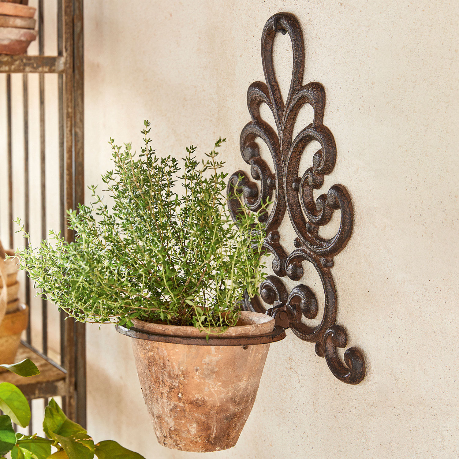 Porte-plantes Cecile Pot en terre cuite rustique suspendu sur support mural en métal orné pour plantes et herbes.