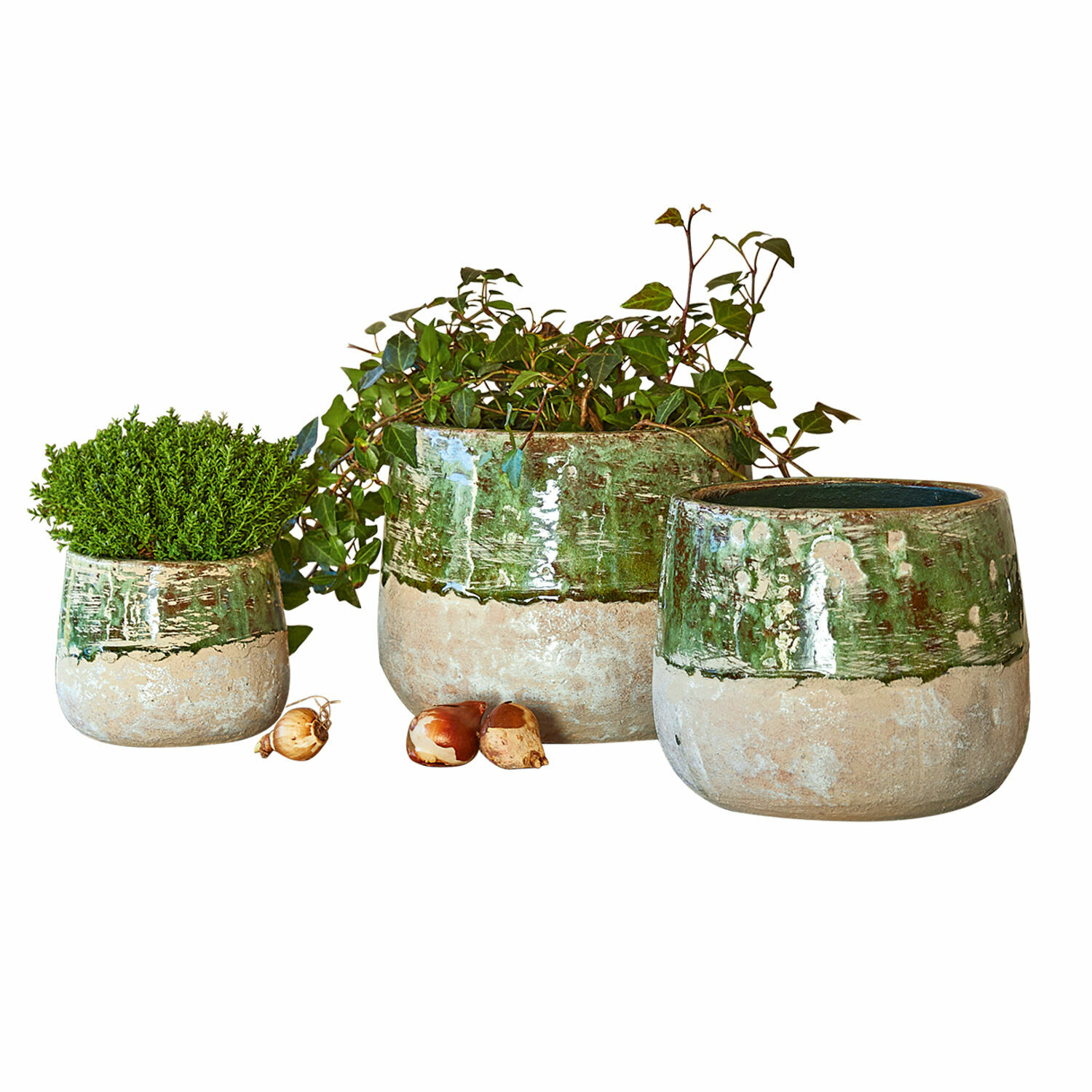 Lot de 3 cache-pots Reefton Ensemble de trois pots en céramique vert et beige avec plantes et bulbes de fleurs