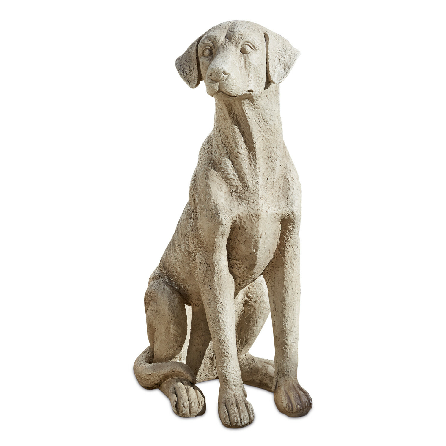 Chien décoratif Elliot
