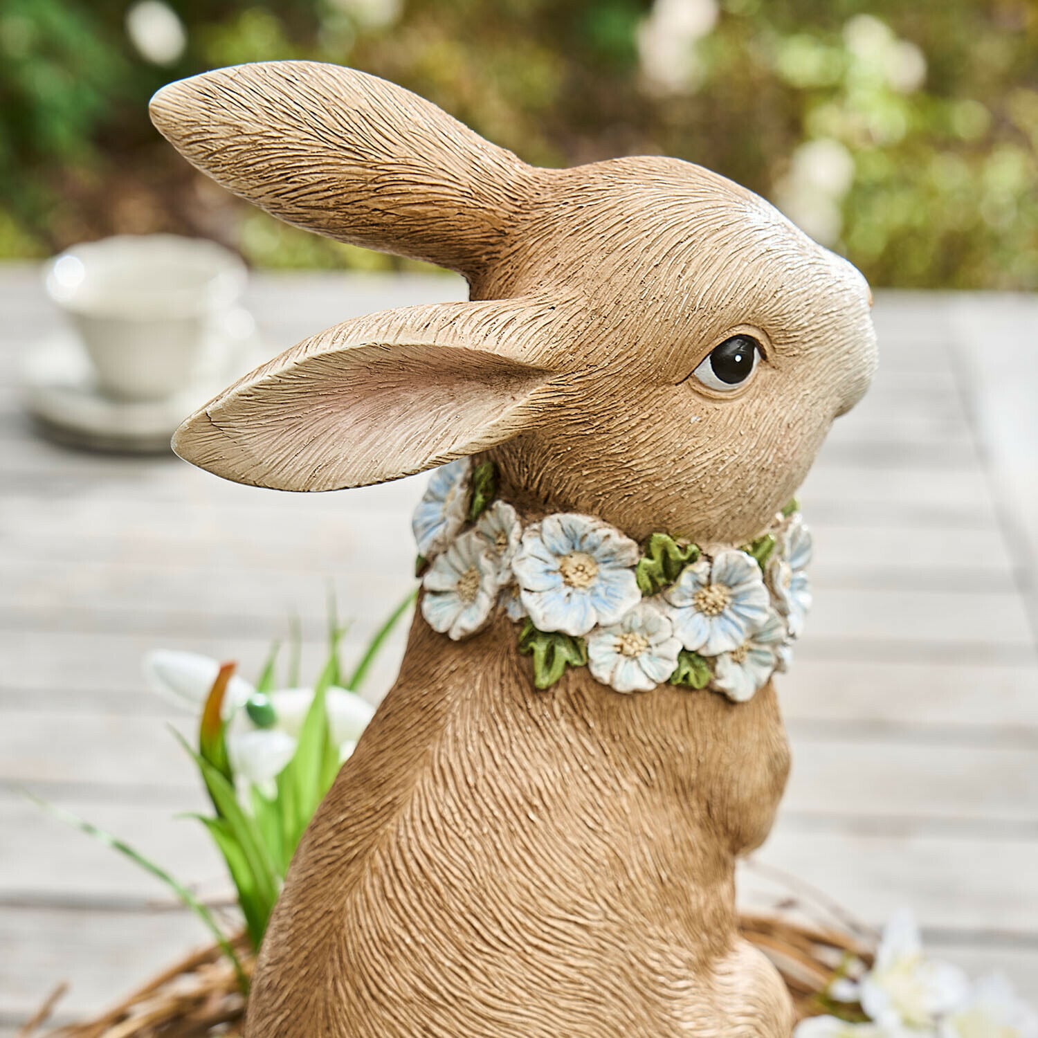 Lapin décoratif Ashfordale