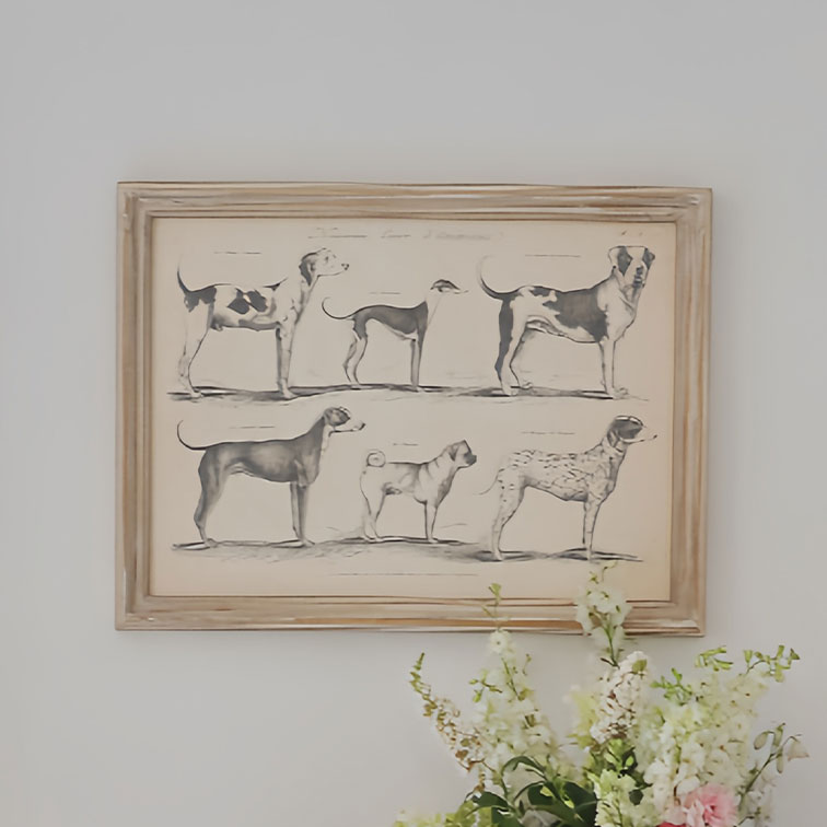 Illustration encadrée de six races de chiens en noir et blanc, décoration murale avec fleurs en bas