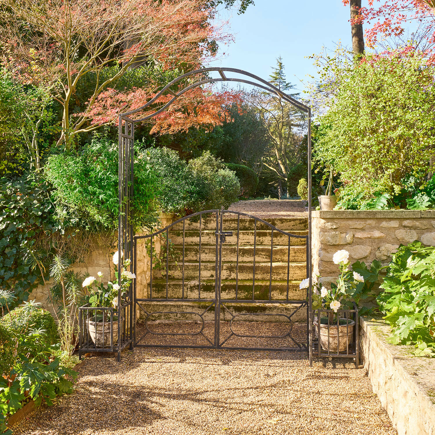Arche à rosiers Donnérie Portail de jardin en métal avec arche et pots de fleurs blanches devant des escaliers en pierre et végétation