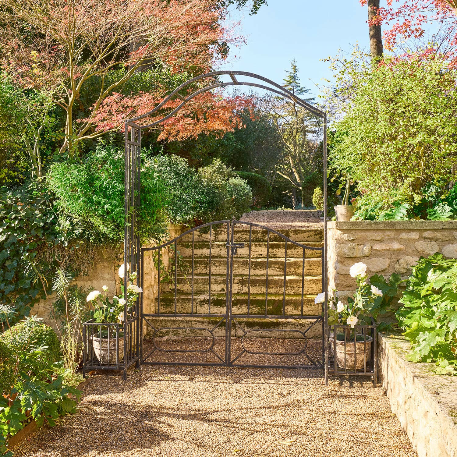 Arche à rosiers Donnérie Portail de jardin en métal avec arche et pots de fleurs blanches devant des escaliers en pierre et végétation