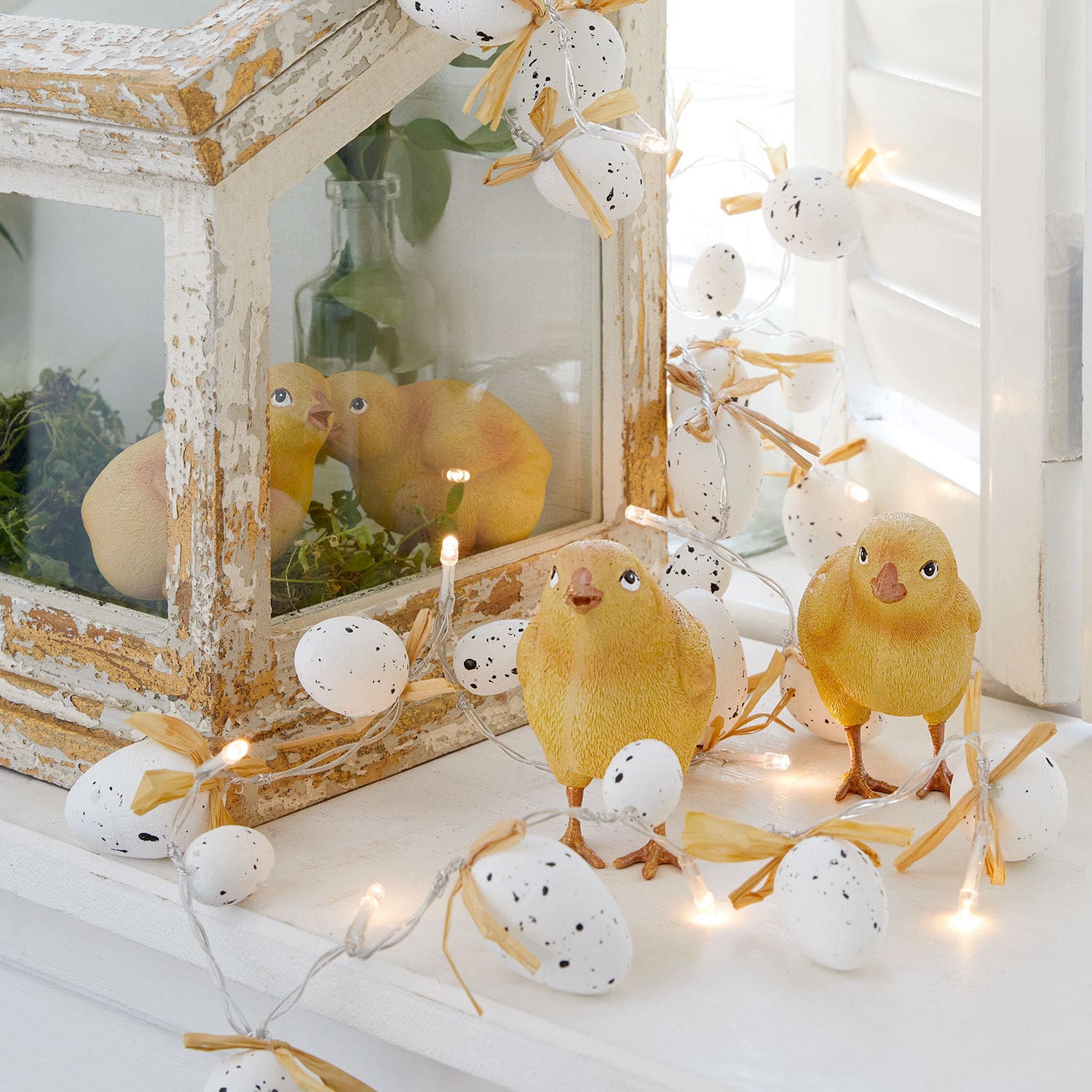 Lot de 4 poussins Wendolin