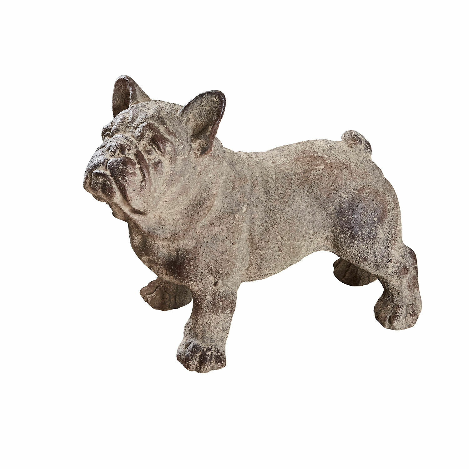 Chien décoratif Blanca