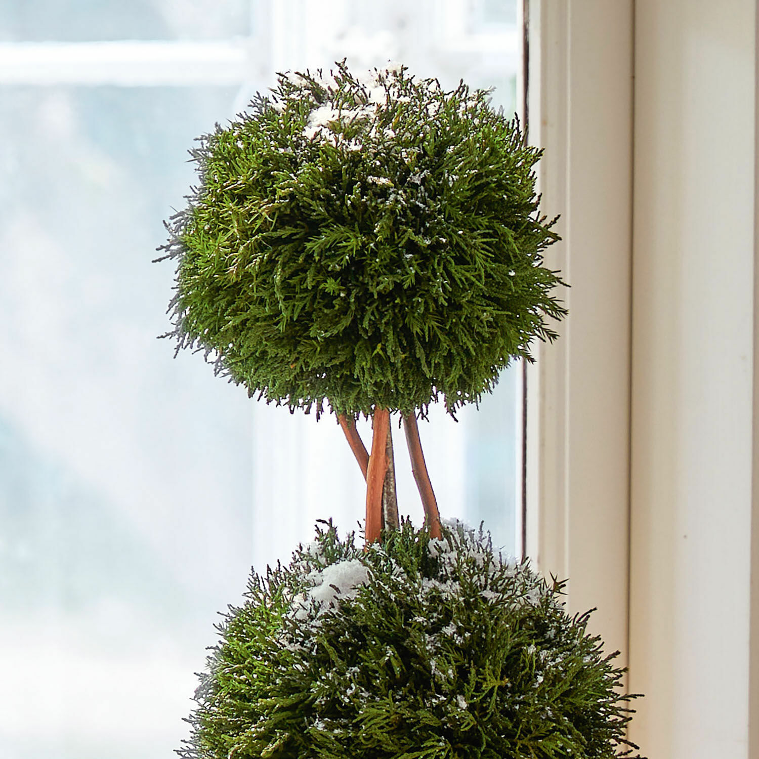 Lot de 2 arbres décoratifs Barda