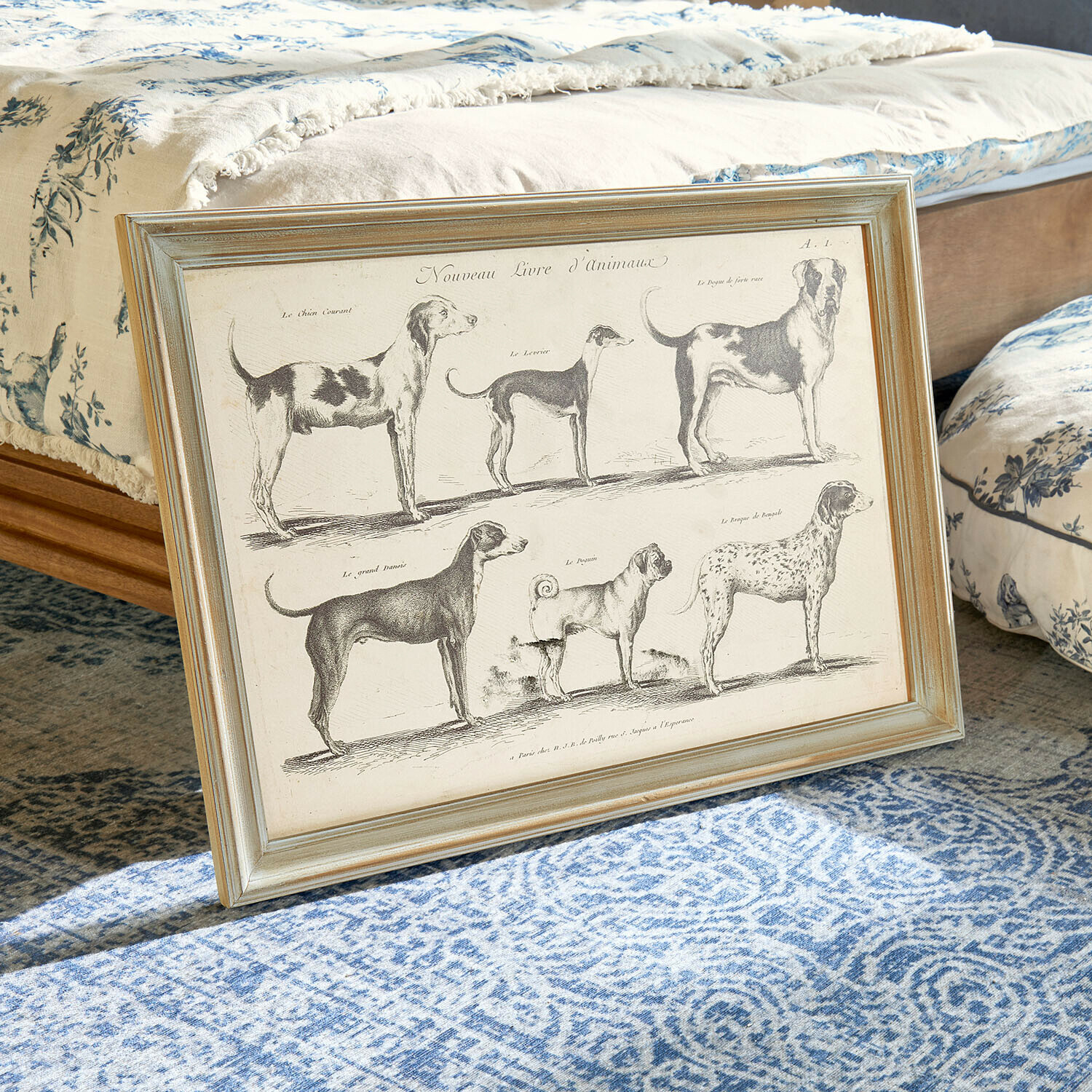 Tableau encadré avec illustrations vintage de six races de chiens sur fond beige posé sur un tapis bleu