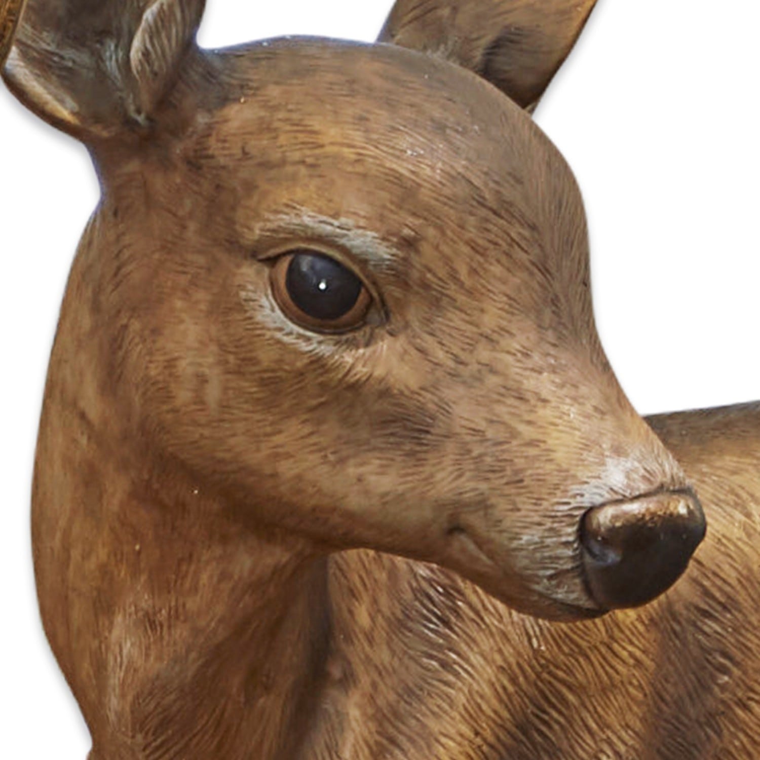 Décoration cerf + chevreuil Soliers