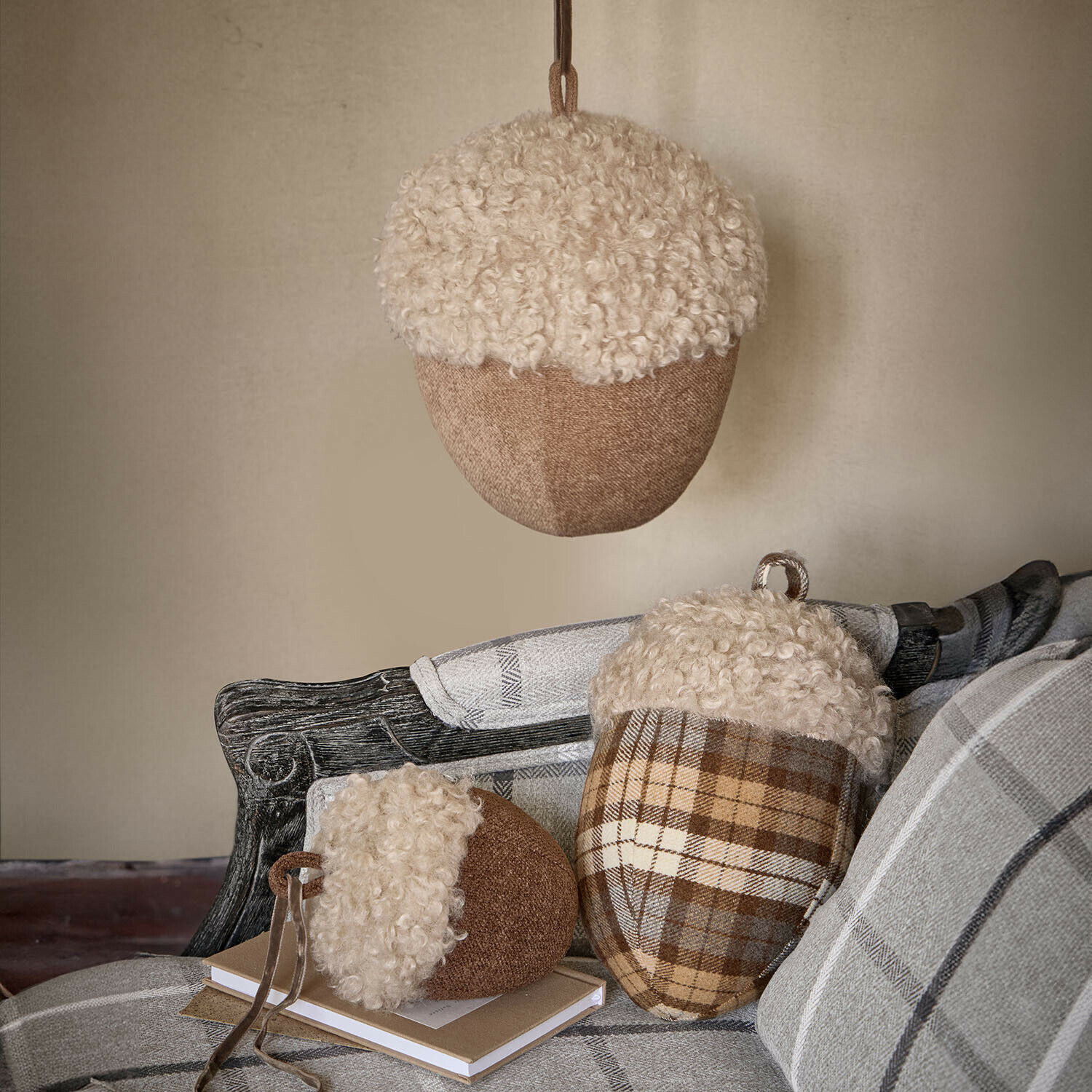 Lot de 3 glands Hazelb