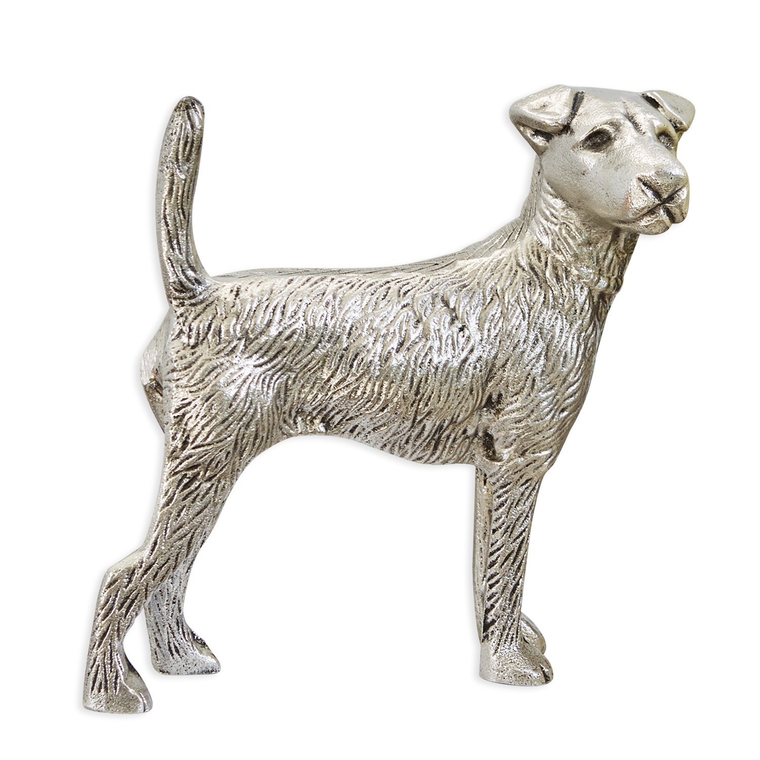 Chien Gaston