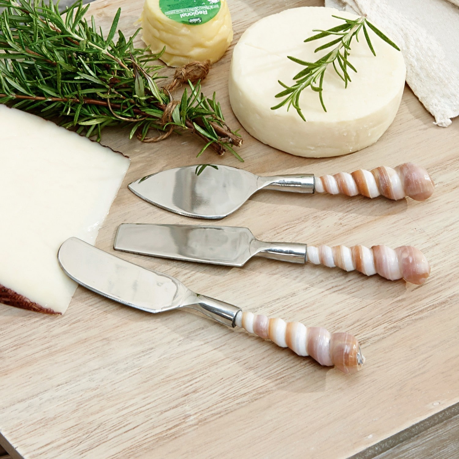 Lot de 3 couteaux à fromage Conchilli