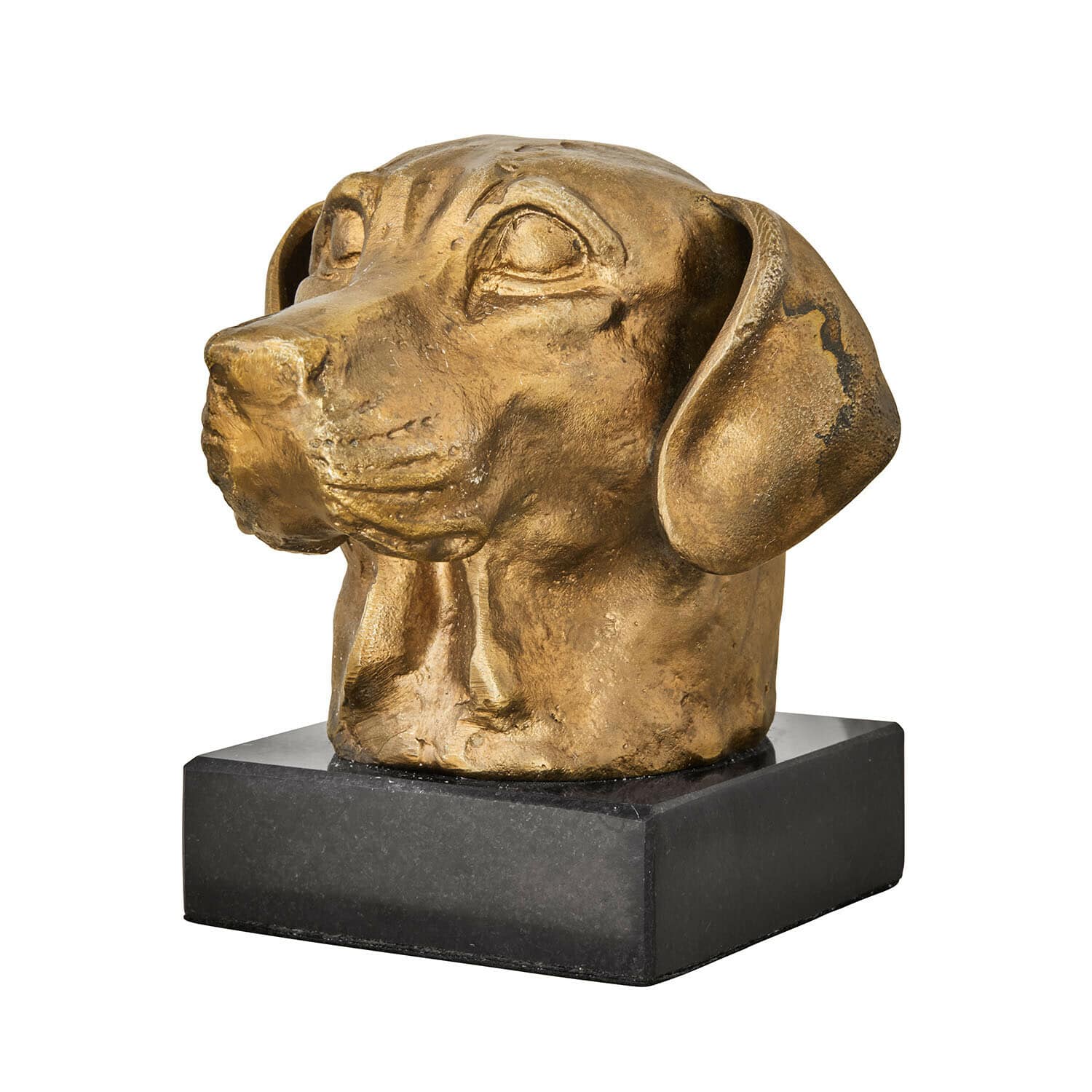 Tête de chien décorative Nareen