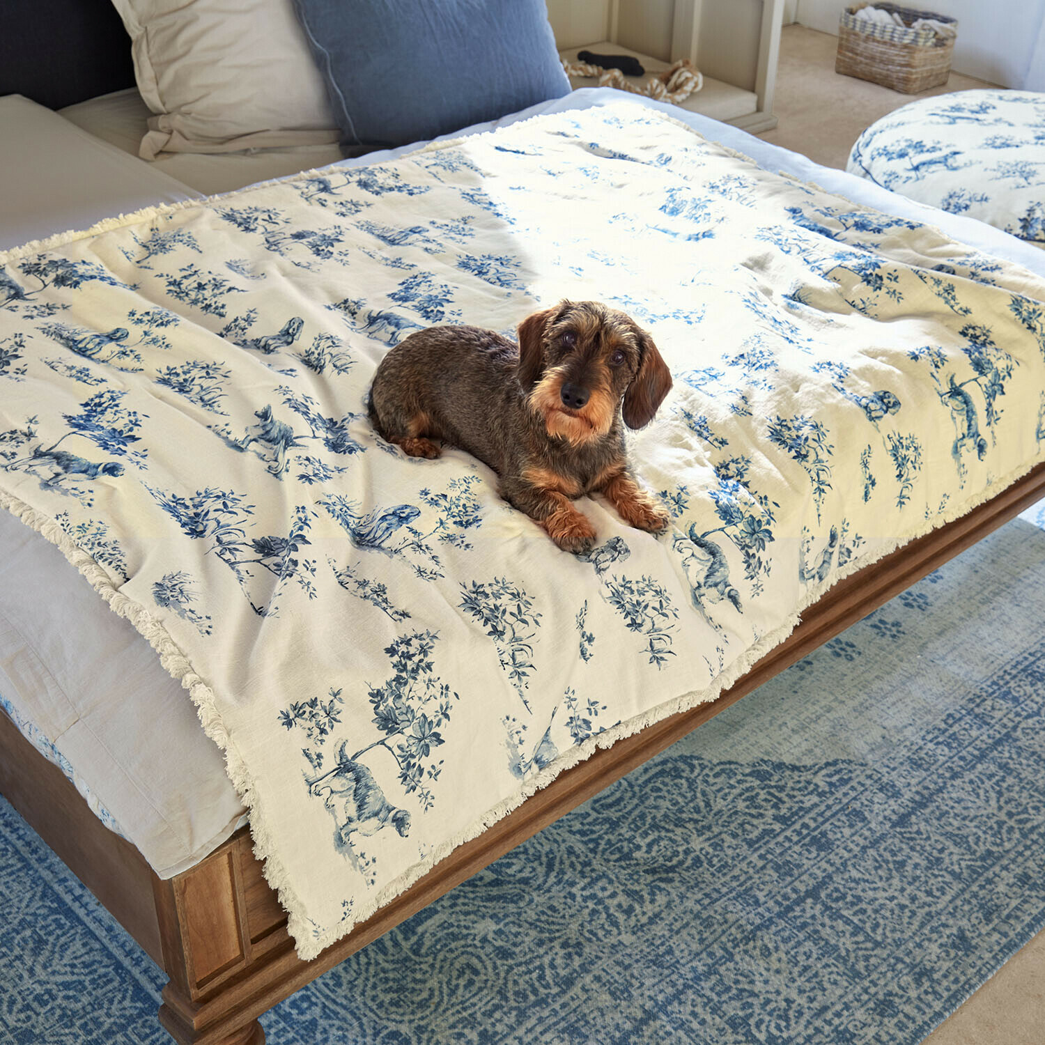 Plaid en coton crème avec motif animalier bleu sur lit en bois avec chien teckel