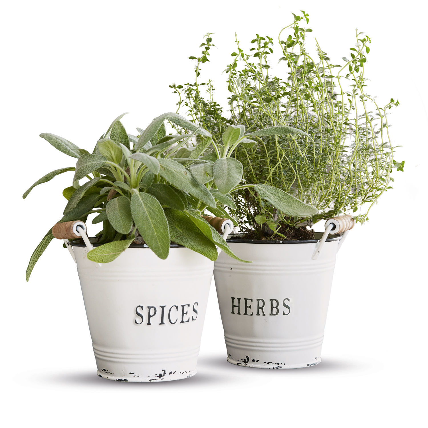 Lot de 2 cache-pots Trevis Pots en métal blanc avec poignées en bois contenant des herbes et épices fraîches pour cuisine