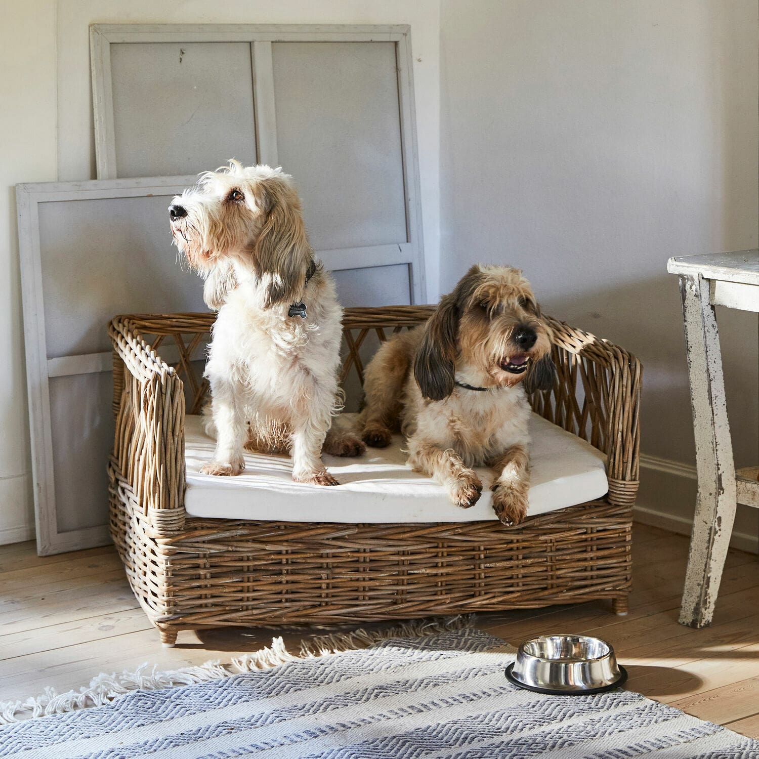 Lit pour chien Cordillera