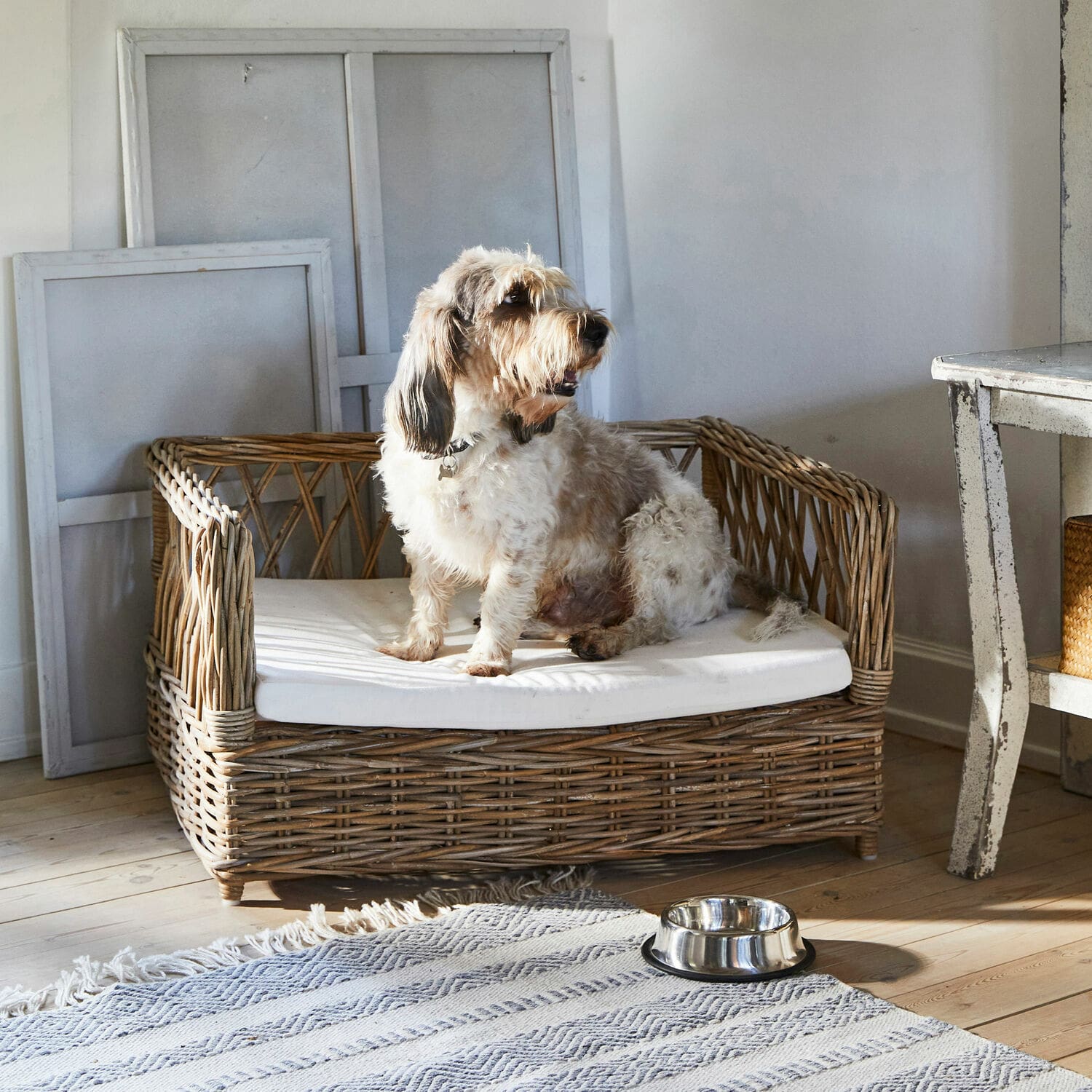 Lit pour chien Cordillera