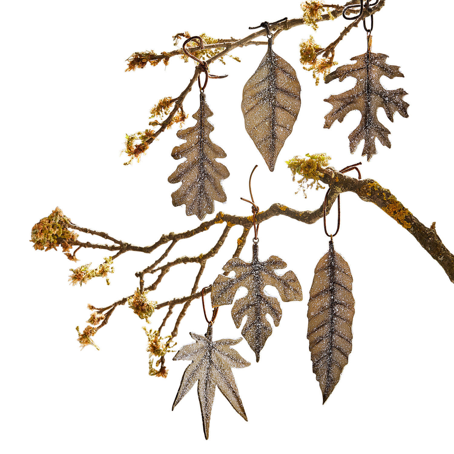 Lot de 6 feuilles décoratives Forlí