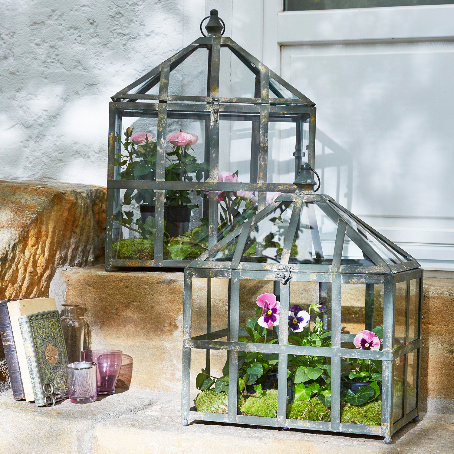 Lot de 2 serres Clement