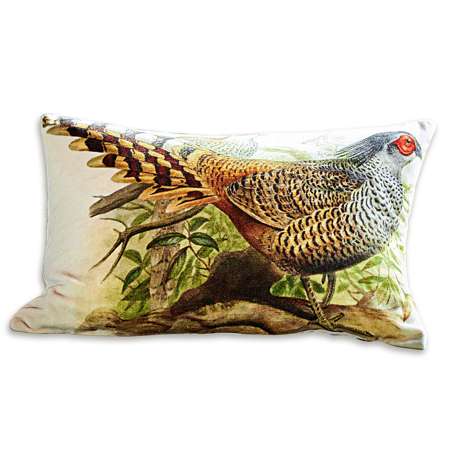 Housse de coussin Limia Coussin rectangulaire décoratif avec impression de faisan aux couleurs naturelles sur fond clair
