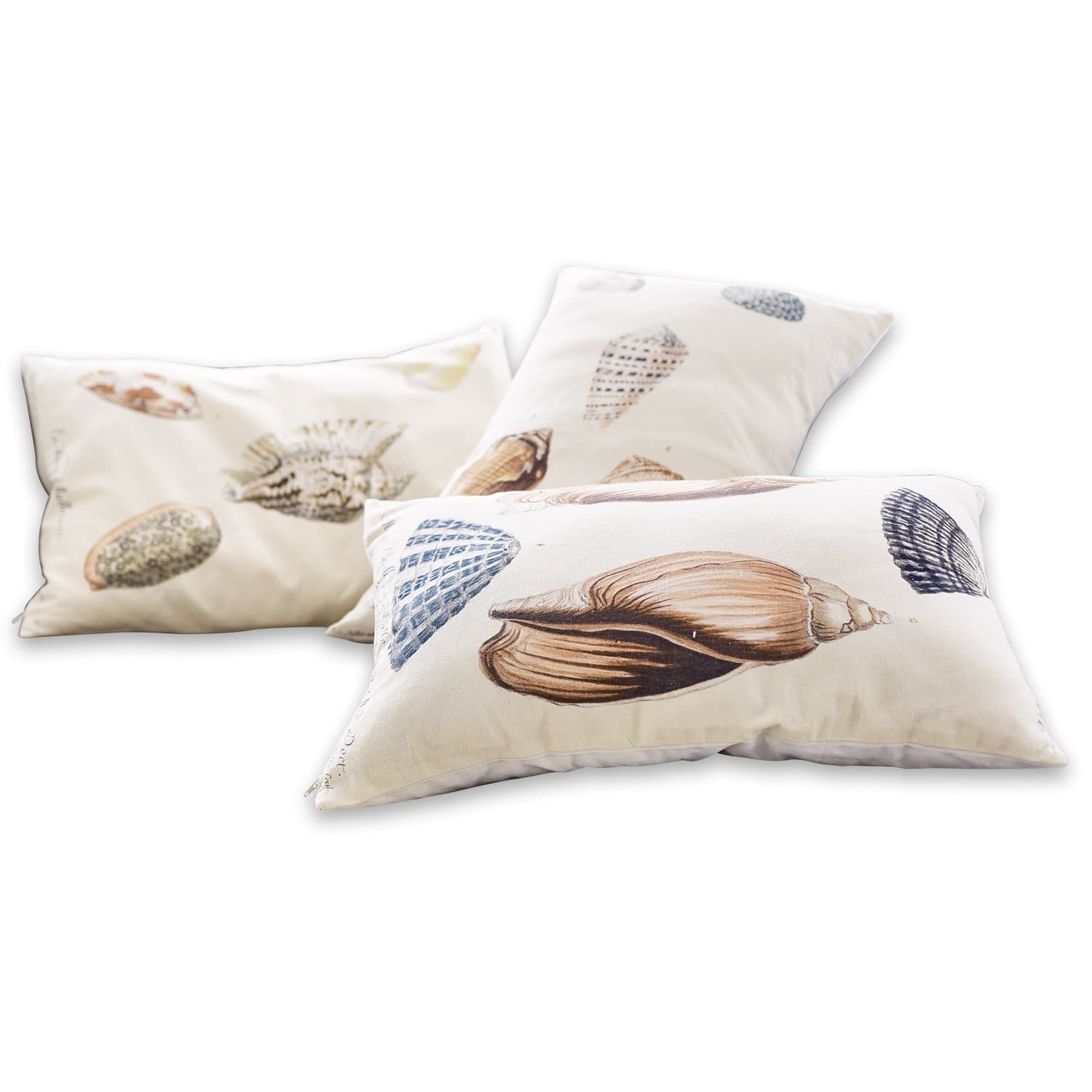 Lot de 3 coussins Seashells