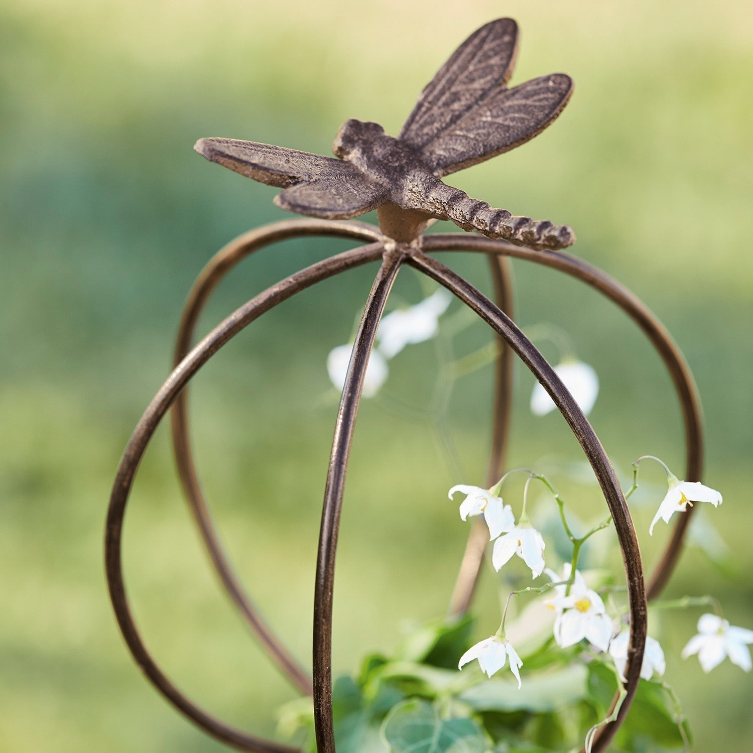 Piquet de jardin Libelle