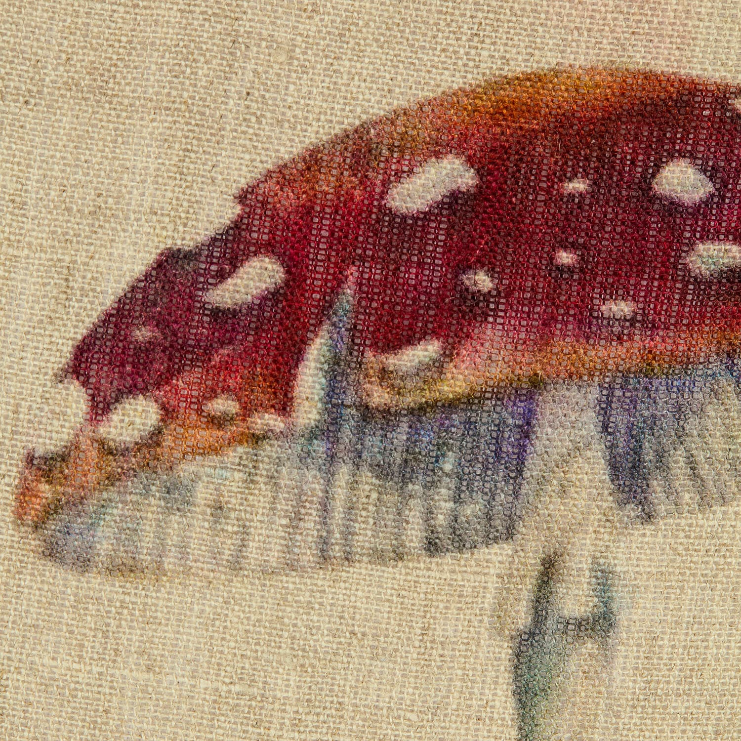 Housse de coussin Selarune