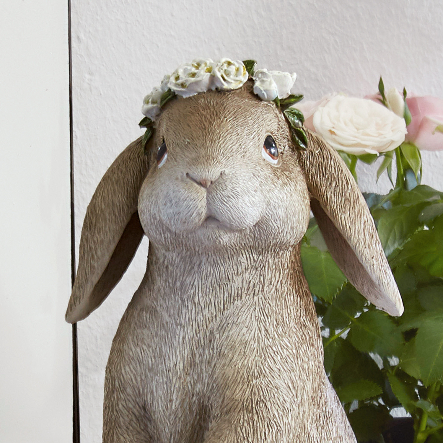 Lapin Sweety
