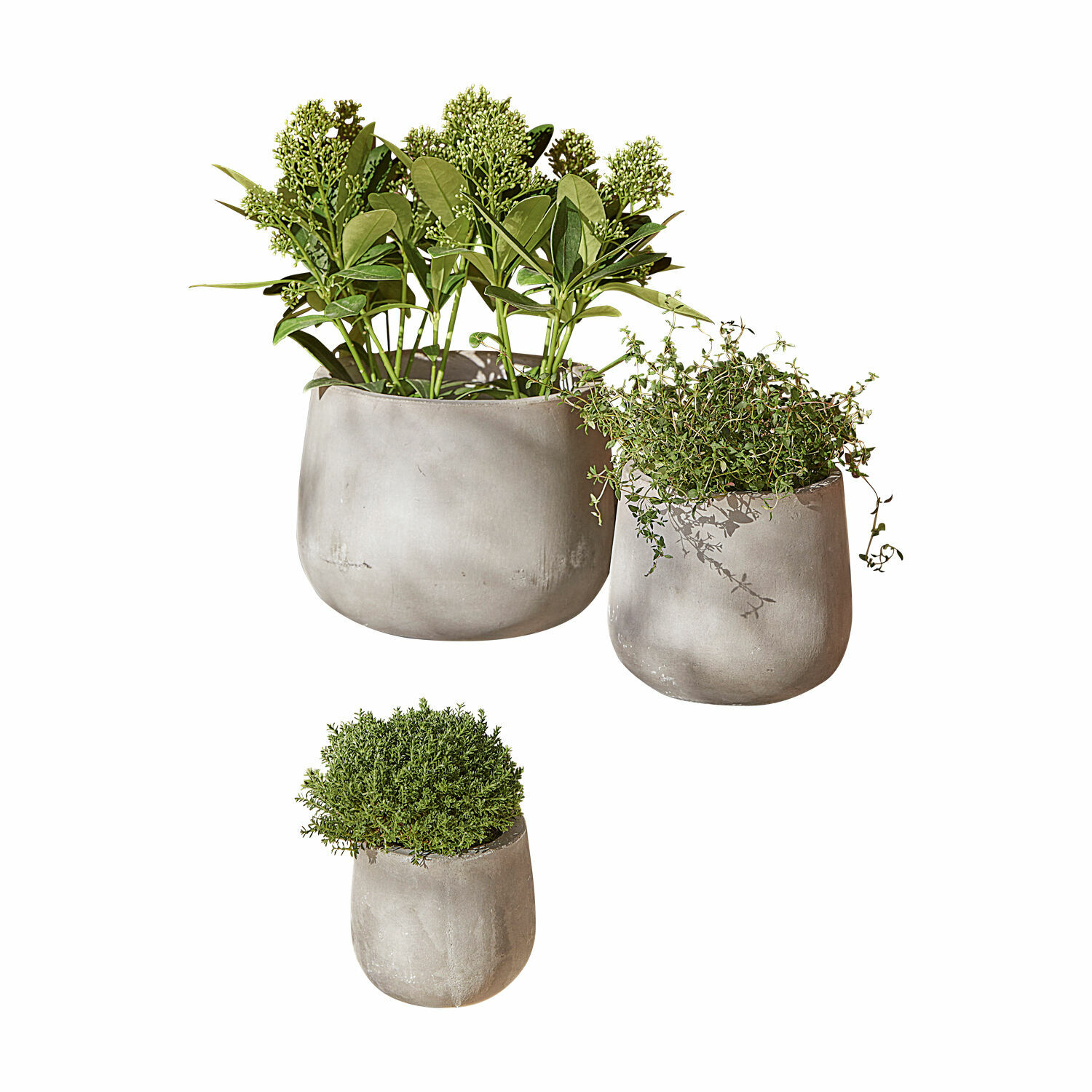 Ensemble de 3 pots Sunvale en béton gris avec plantes vertes, décoration intérieure et extérieure