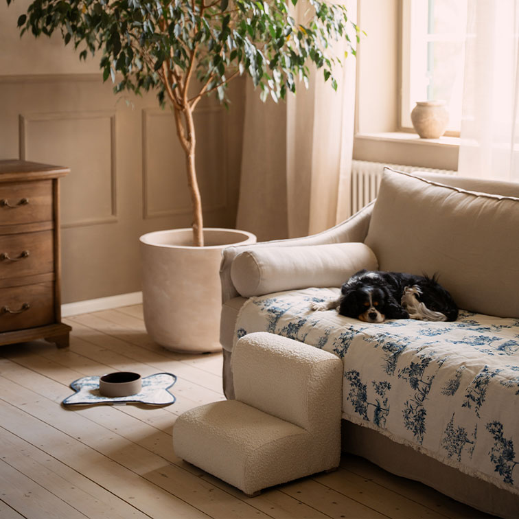 Salon chaleureux avec canapé beige, couverture bleu et blanc et chien noir dormant dessus