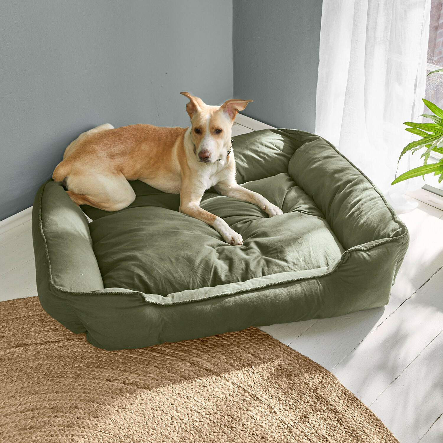 Panier vert rembourré pour chien avec bords hauts, confortable pour le repos à la maison