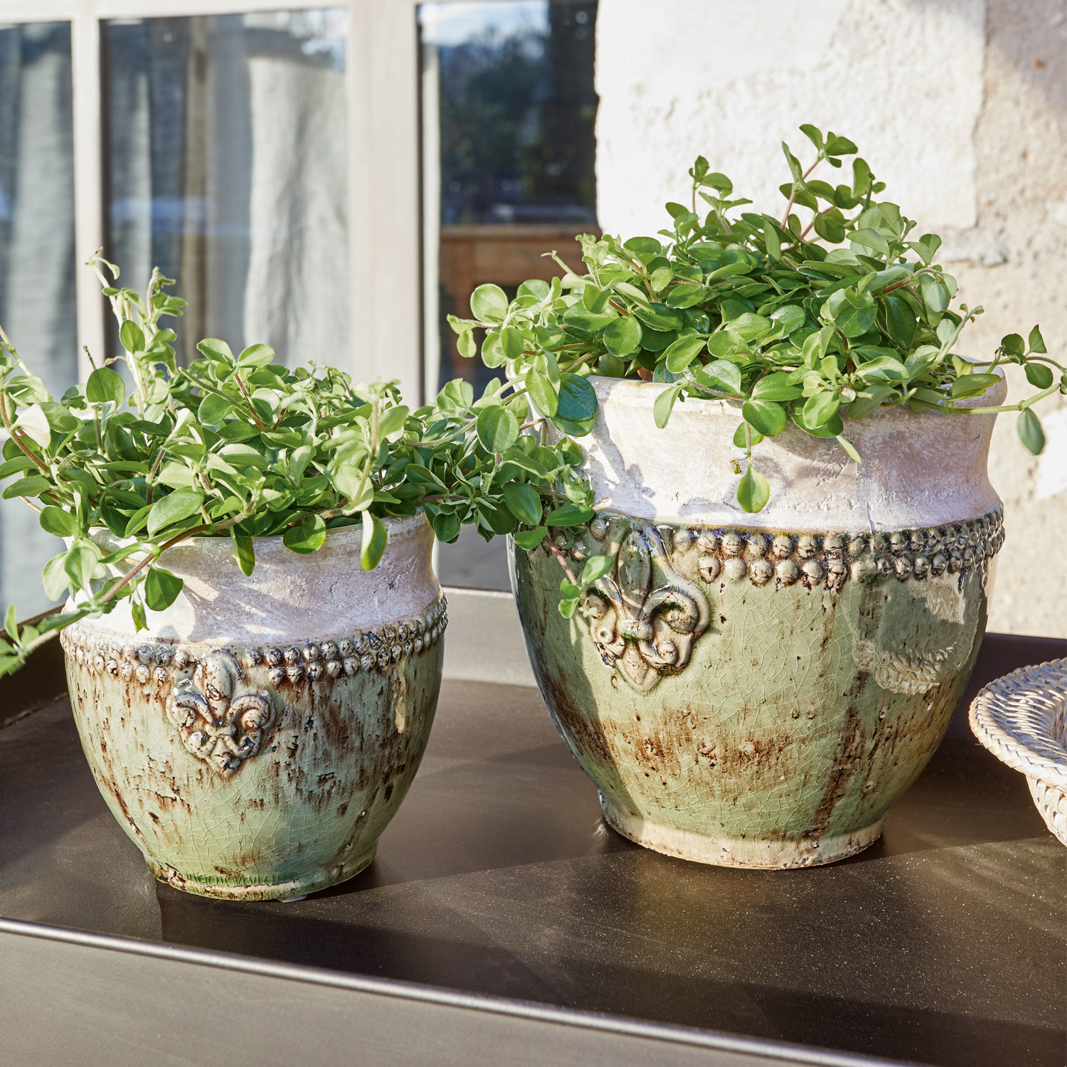 Lot de 2 cache-pots Montcony Deux pots en céramique vert-beige avec plantes sur une table extérieure ensoleillée