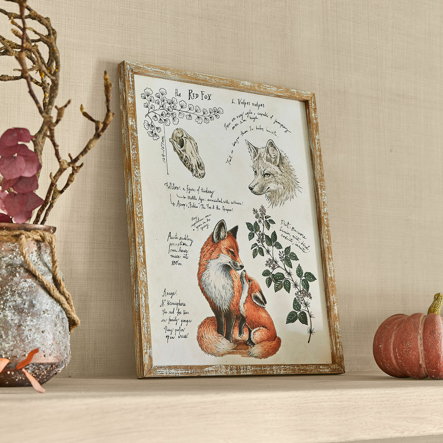 Tableau décoratif Survie Tableau encadré en bois avec illustration de renard roux et notes manuscrites, décoration murale vintage